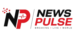 News Pulse Logo